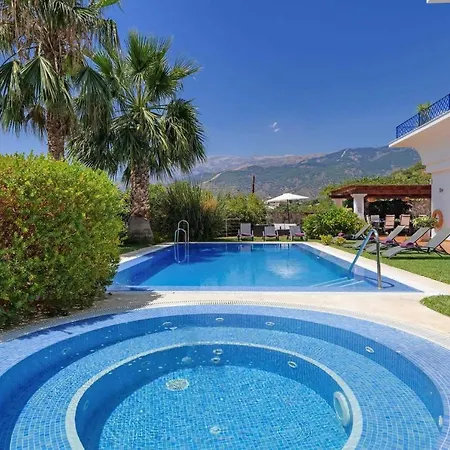 Villa Los Nisperos De Paco